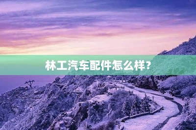 林工汽車配件怎么樣?