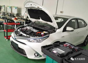 11月27日至30日,東方龍商務將舉行新能源汽車產業 商業綜合體 電子配件制造項目的對接會